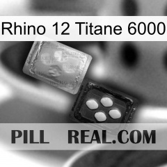 Rhino 12 Titanium 6000 37